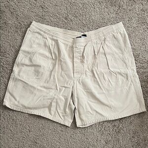 Patagonia Men's Tan Flat Front Shorts